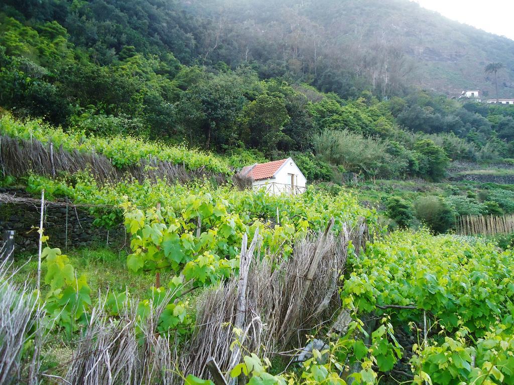 A Casa Estrelicia-dourada Garces Sao Vicente (Madeira)