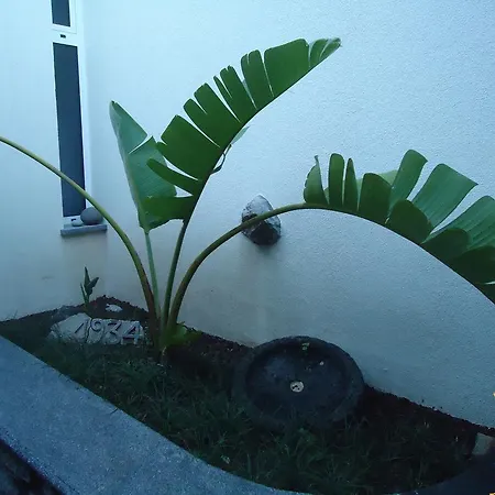 Villa A Casa Estrelicia-Dourada Garces São Vicente Esterno foto