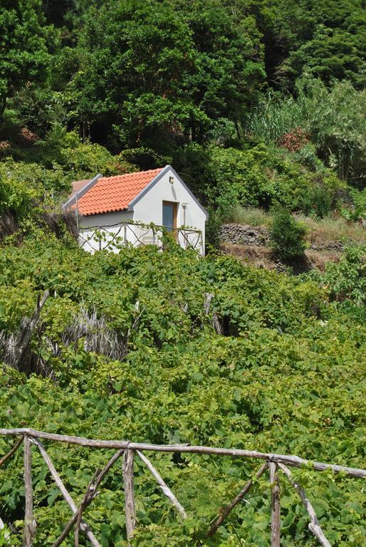 A Casa Estrelicia-dourada Garces São Vicente